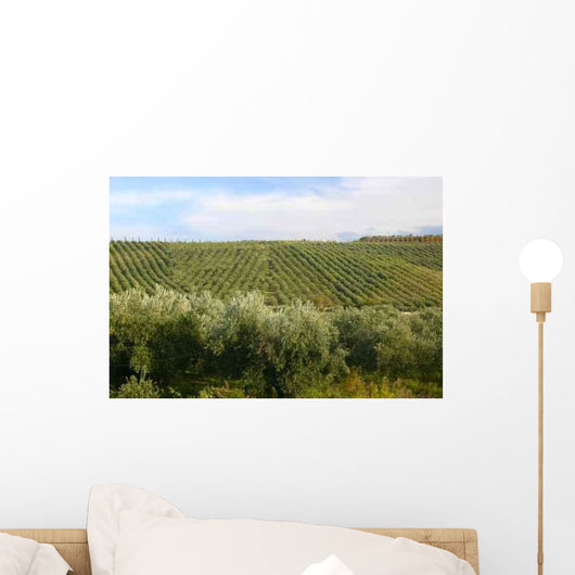 Neat Rows Grapes with Wall Decal