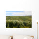Neat Rows Grapes with Wall Decal