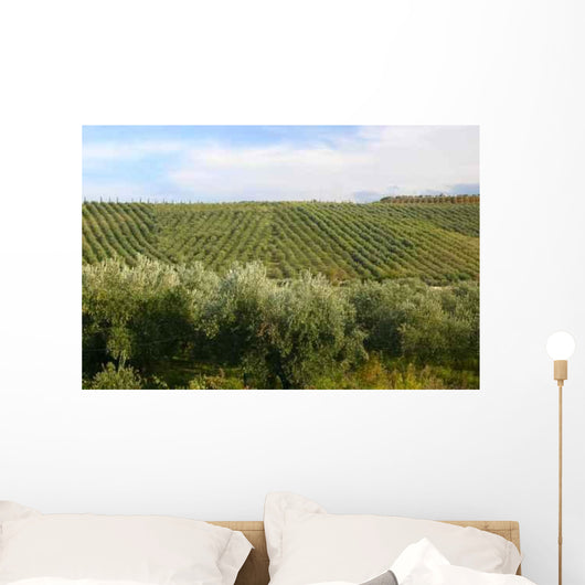 Neat Rows Grapes with Wall Decal