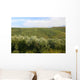 Neat Rows Grapes with Wall Decal