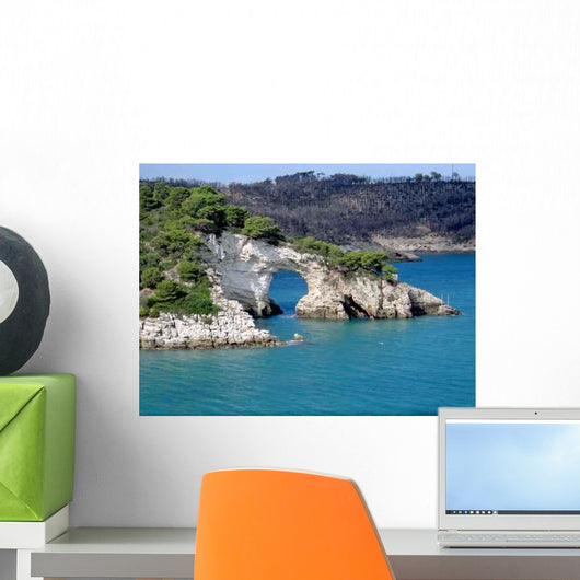 Natural Stone Bridge Coastline Wall Decal