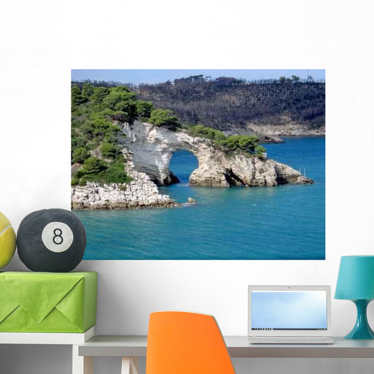 Natural Stone Bridge Coastline Wall Decal
