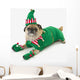 A pug in a christmas elf costume;St albert, alberta, canada Wall Mural
