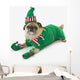 A pug in a christmas elf costume;St albert, alberta, canada Wall Mural