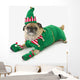 A pug in a christmas elf costume;St albert, alberta, canada Wall Mural