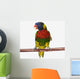 A colourful lorikeet parrot on a white background;St albert Wall Mural
