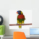 A colourful lorikeet parrot on a white background;St albert Wall Mural