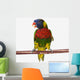 A colourful lorikeet parrot on a white background;St albert Wall Mural