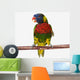 A colourful lorikeet parrot on a white background;St albert Wall Mural