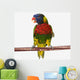 A colourful lorikeet parrot on a white background;St albert Wall Mural