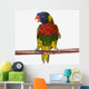 A colourful lorikeet parrot on a white background;St albert Wall Mural