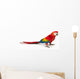 A scarlet macaw parrot on white background Wall Decal