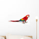 A scarlet macaw parrot on white background Wall Decal