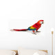 A scarlet macaw parrot on white background Wall Decal