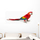 A scarlet macaw parrot on white background Wall Decal