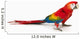 A scarlet macaw parrot on white background Wall Decal