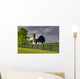 Black Barn Wall Mural