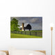 Black Barn Wall Mural
