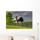 Black Barn Wall Mural