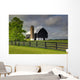 Black Barn Wall Mural
