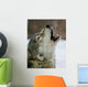 Song of the Wolf Wall Mural