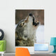 Song of the Wolf Wall Mural