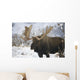Bull moose in the chugach mountains;Alaska, united states of america Wall Mural