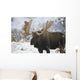 Bull moose in the chugach mountains;Alaska, united states of america Wall Mural