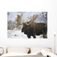 Bull moose in the chugach mountains;Alaska, united states of america Wall Mural