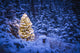 Lit Christmas Tree In Snow Covered Forest Of Spruce Trees Wall Mural