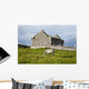A horse grazing Wall Mural