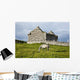 A horse grazing Wall Mural