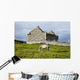 A horse grazing Wall Mural