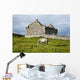 A horse grazing Wall Mural