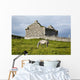 A horse grazing Wall Mural