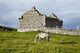 A horse grazing Wall Mural