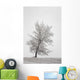 One frosted tree Wall Mural