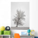 One frosted tree Wall Mural