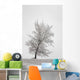 One frosted tree Wall Mural
