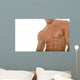 Athletic Man with Sixpack