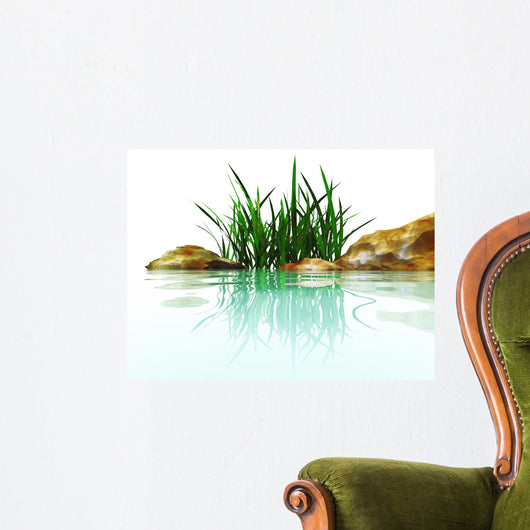 stones and grasses in an environment of water Wall Mural