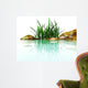 stones and grasses in an environment of water Wall Mural