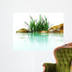 stones and grasses in an environment of water Wall Mural