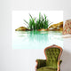 stones and grasses in an environment of water Wall Mural