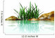 stones and grasses in an environment of water Wall Mural