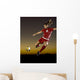 Soccer at Dusk Wall Mural