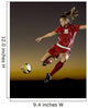 Soccer at Dusk Wall Mural