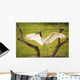 Jabiru stork spreads its wings on a nest;Pantanal brazil Wall Mural