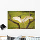 Jabiru stork spreads its wings on a nest;Pantanal brazil Wall Mural