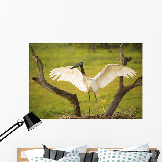 Jabiru stork spreads its wings on a nest;Pantanal brazil Wall Mural